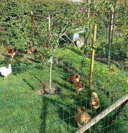 Bed & Breakfast Ostre Alle